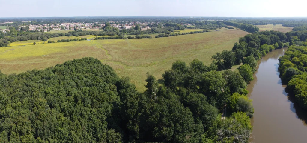 vtc-saint-martin-de-seignanx-nature