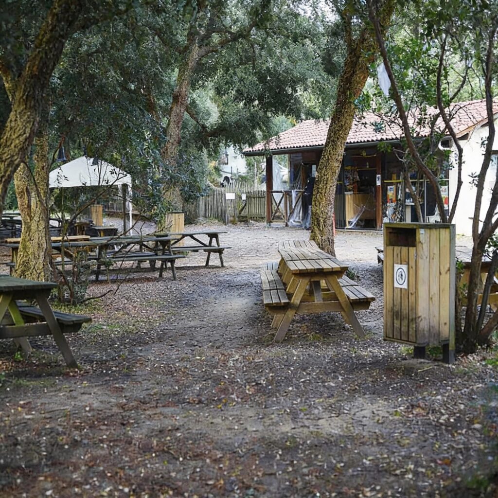 Zoo Labenne - VTC labenne